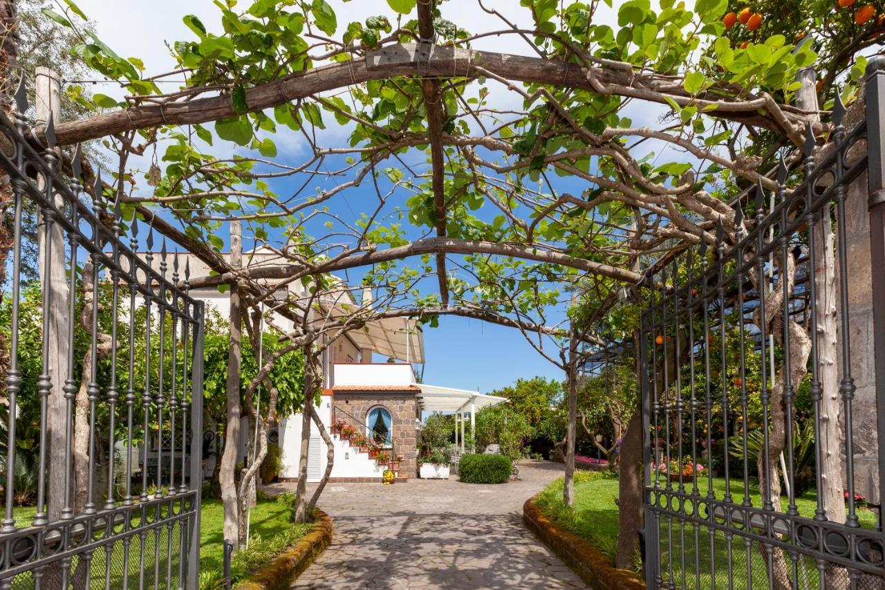 Villa Maresca B&B Piano di Sorrento Kültér fotó