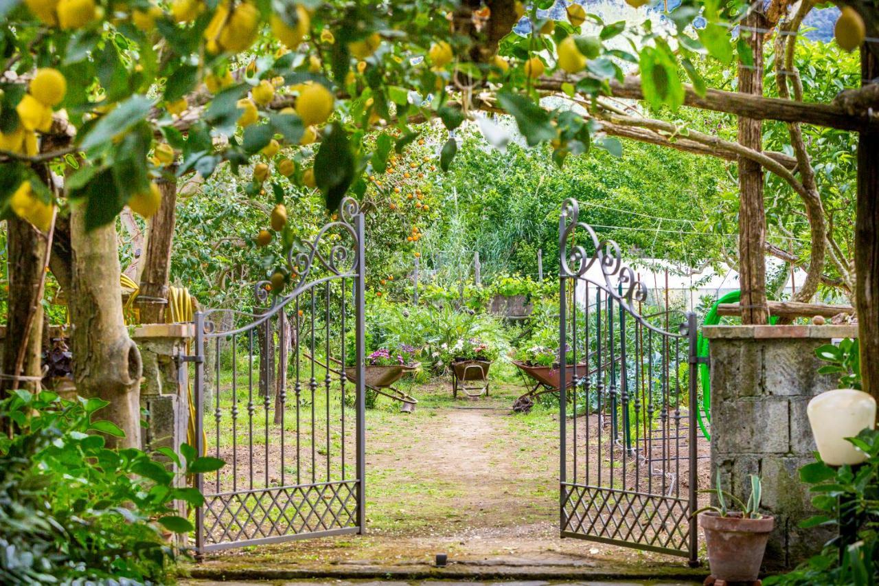 Villa Maresca B&B Piano di Sorrento Kültér fotó