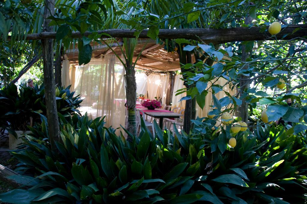 Villa Maresca B&B Piano di Sorrento Kültér fotó